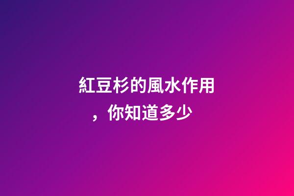 紅豆杉的風水作用，你知道多少